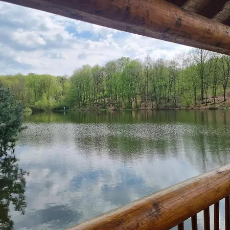 Holiday home будиночок улюблений Shyroke (Zakarpattia)
