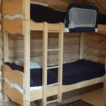 будиночок улюблений Holiday home Shyroke (Zakarpattia)
